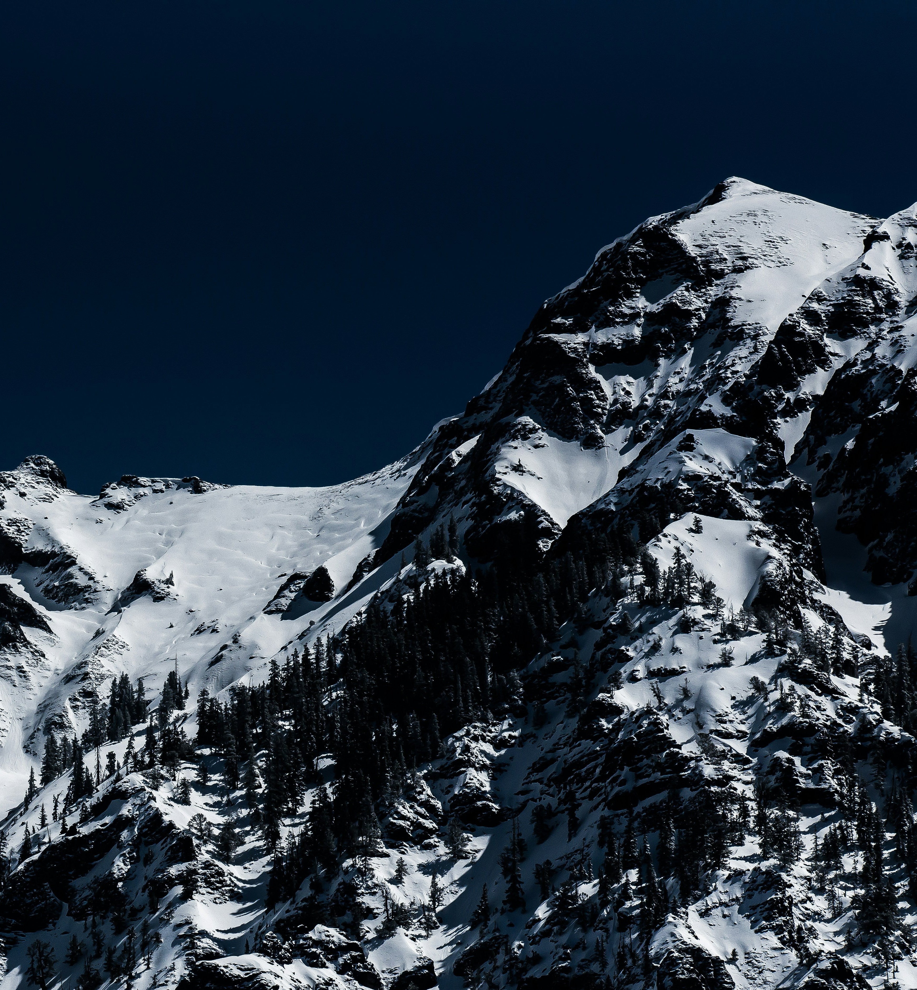 nathan-anderson-a0z94OLZcuQ-unsplash_59be7b34-7ee3-4b18-aff2-96a8c6c685b6.jpg
