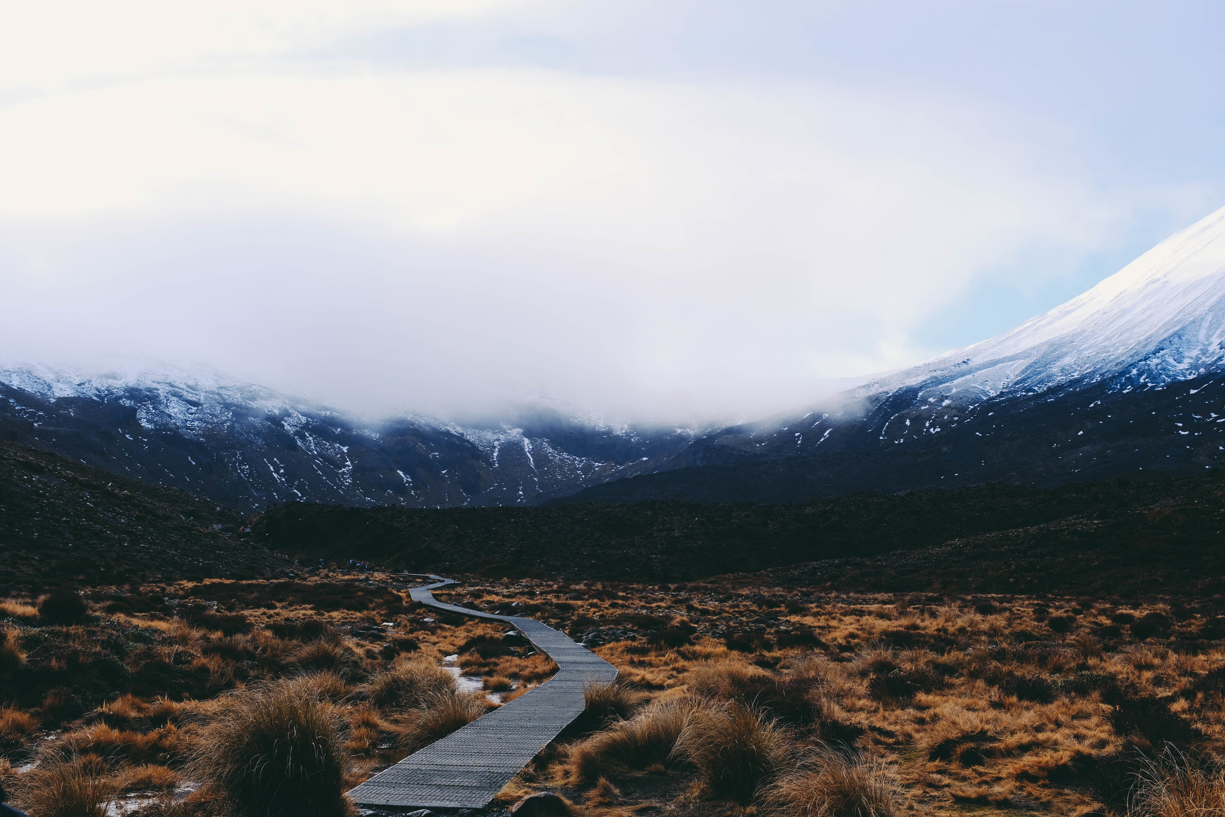 wooden-hiking-path.jpg